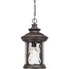 Quoizel Chimera Outdoor Hanging Lantern CHI1911IB